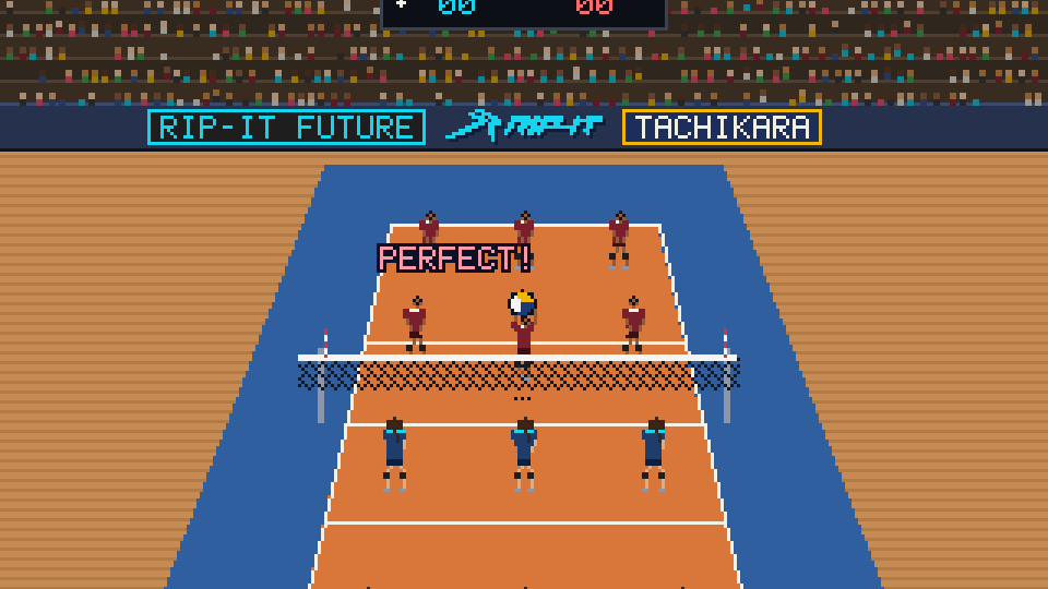 Kill Shot: a perfect set at the net, seen from behind your team, in the RIP-IT gym